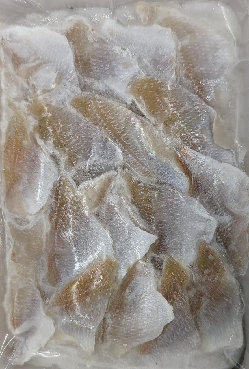国産　小鯛笹漬け　500g（70-80枚）×15P（P4,160円税別）冷凍　業務用　ヤヨイ