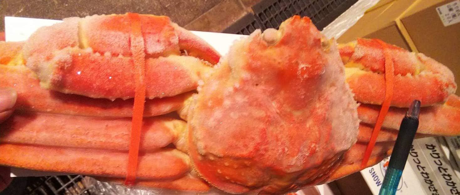 カナダ又はロシア産　ボイルずわい蟹　姿　3kg×2箱（箱5尾）kg4,500円税別　他サイズも選べます。限定品　冷凍　業務用　ヤヨイ 3