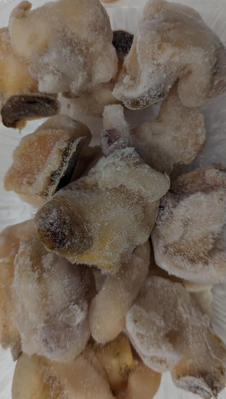 ��������ɻ������Ĥֳ��������ȡ�L��1Kgx12P��P3,900�����̡������ѡ����ࡡ��̳�ѡ���襤