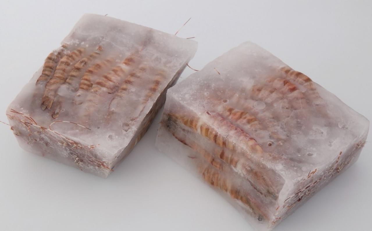 かつ冷　お刺身天然海老　オーストタイガー　1Kg（55尾）×10P（P3,400円税別）冷凍　業務用　ヤヨイ　他サイズ35・40・50尾／Kg入りになります。