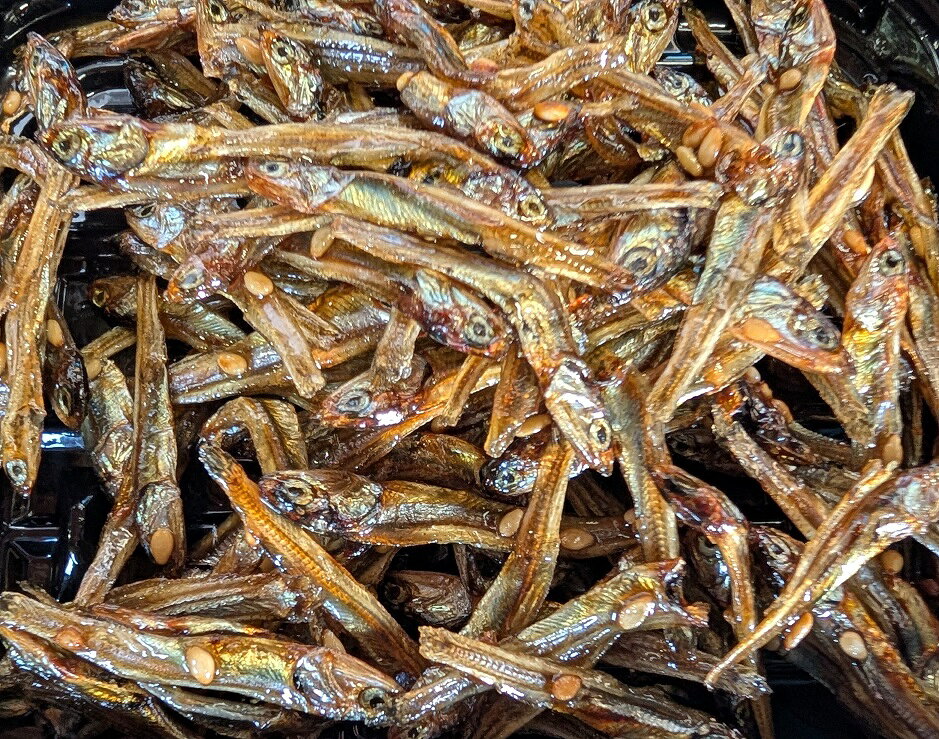 田作　たづくり　1Kg×10箱（箱4,600円税別）片口いわし　国産　金ごま入り　佃煮　ごまめ　おせち料理　正月料理　お祝い料理　甘辛仕立て 常温　保存　業務用　ヤヨイ