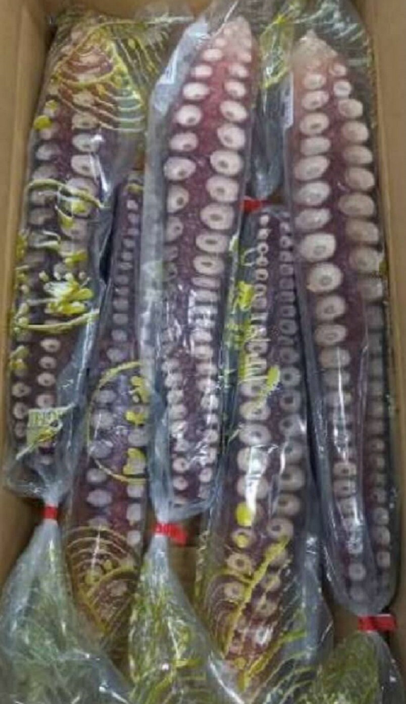 北海道産 水蛸 ボイルたこ足 IQF 10Kg(Kg2,860円税別)10~14本 生食用 業務用 ヤヨイ