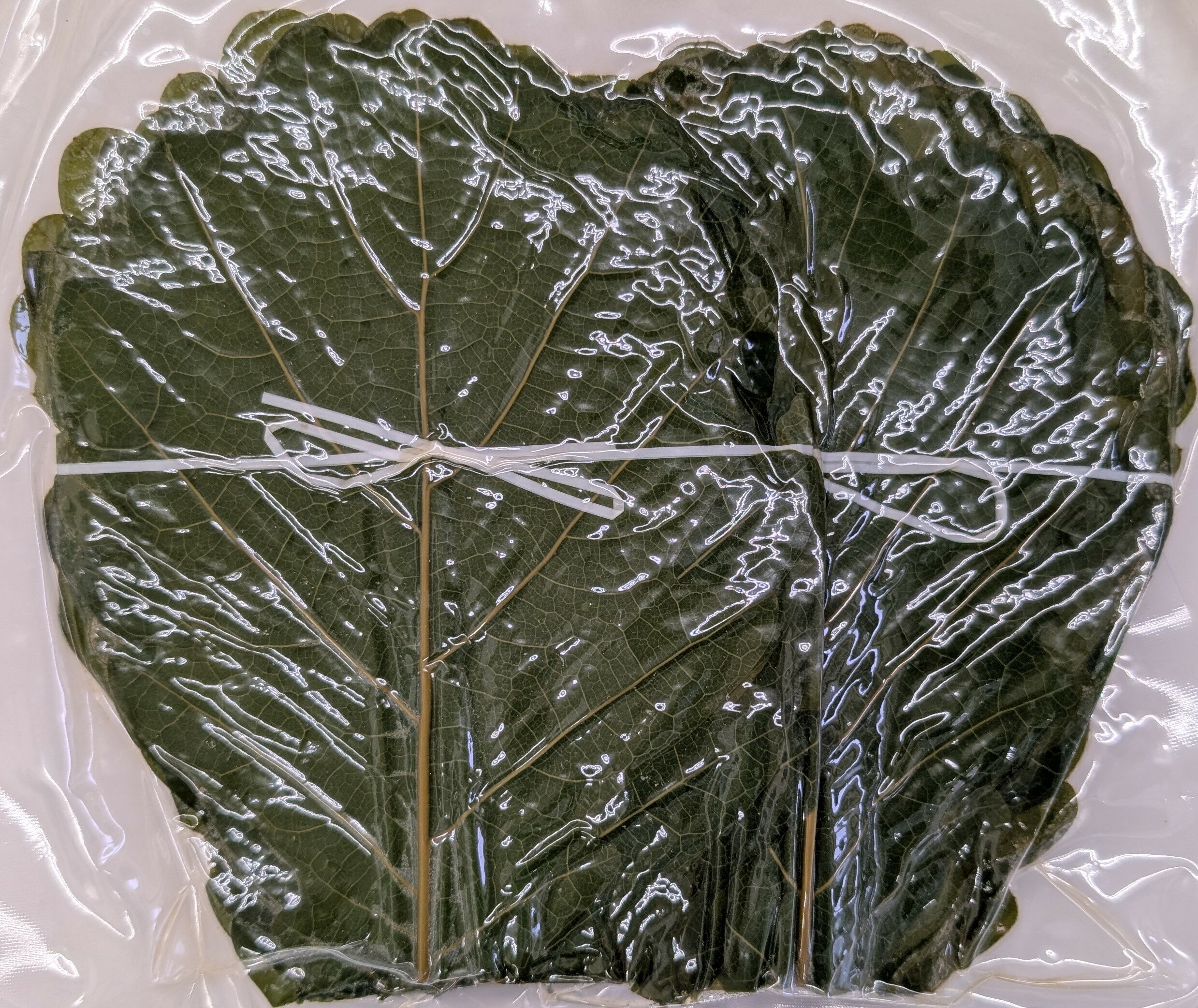 ��񻺡�����ա����꡼��S��MS��M��500���6P��P2,800�����̡˾ﲹ����̳�ѡ���襤