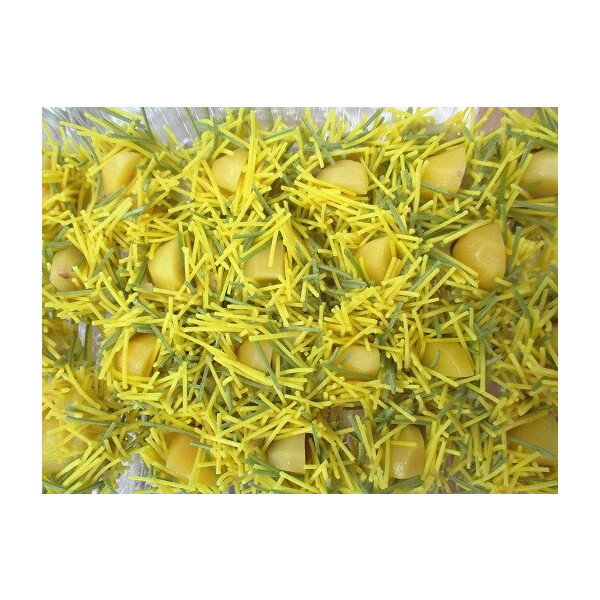 ��ʪ���ߥ˾���22�������24p��P1000�����̡˶�̳�ѡ���襤����ʡ