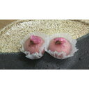 和菓子 さくらさくら(葛餅)20個(個30円税別)x28P(P690円税別)業務用 ヤヨイ