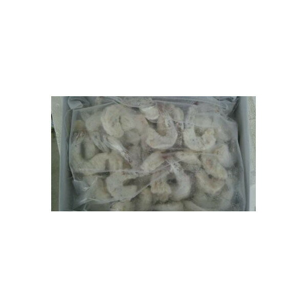 ���դ���Ϸ�ե�å����Хå����å�1kgx10P��P2800�����̡˶�̳�ѡ���襤