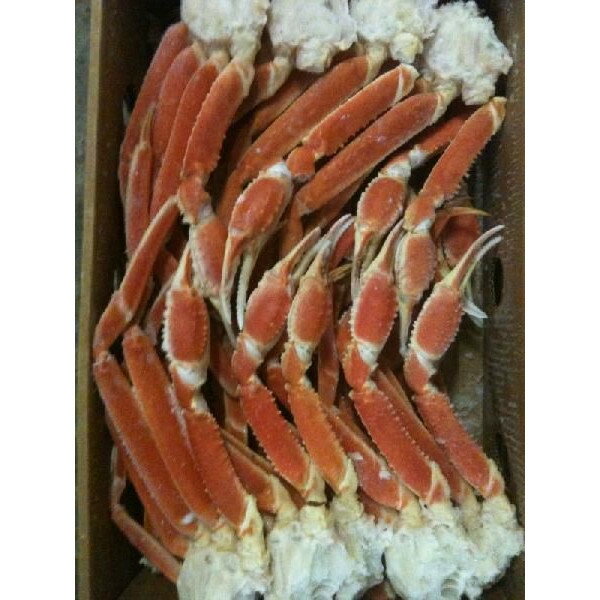 身入抜群 冷凍ボイルずわい蟹 4L(肩)5kg(kg5010円税別)(約13肩)ヤヨイ ズワイ