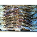 身入抜群 生ずわい蟹 肩 3L 5Kg(kg5,300円税別)(約15肩)冷凍 特大 ヤヨイ