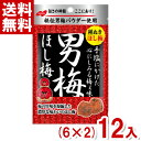 ノーベル 20g 男梅ほし梅 (6×2)12袋入 (最短当日出荷)(熱中症対策 塩分補給 うめ)(ポイント消化) (np) (賞味期限2026.1月末) (メー...