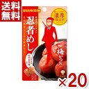 楽天ゆっくんのお菓子倉庫2号店味覚糖 20g 旨味シゲキックス 忍者めし 梅かつお味 （10×2）20入 （あす楽対応） （ポイント消化） （np）（賞味期限2024.12月末） （メール便全国送料無料）