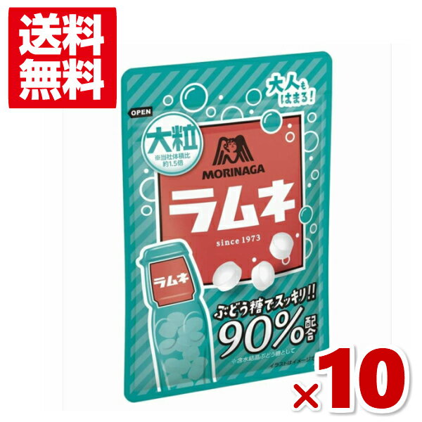 森永製菓 大粒ラムネ 41g×10入 (ポイント消化) (np) (駄菓子 ブドウ糖 90％配合) (賞味期限2023.10月末) (メール便全国送料無料)