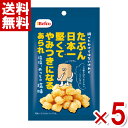 栗山米菓 たぶん日本一堅いあられ しお味 40g×5袋 (おかき 米菓 お菓子)(ポイント消化) (np-2) (賞味期限2025.9.1) (メール便全国送料...