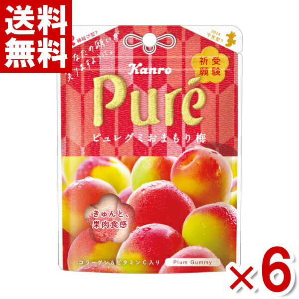 カンロ ピュレグミ おまもり梅 52g×6入 (期間限定 受験 応援 合格祈願 受験祈願 グミ お菓子) (np)(賞味期限2024.8月末) メール便全国送料無料)のサムネイル