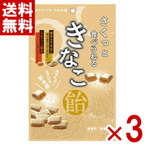 (賞味期限2025.12月末) 大丸本舗 さくっと食べられるきなこ飴 54g×3入 (最短当日出荷)(最強配送) (アウトレット 訳あり お菓子) (np-3)...