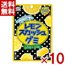 不二家 レモンスカッシュグミ 47g×10入 (ポイント消化) (np-3) (賞味期限2026.4月末) (メール便全国送料無料)