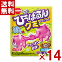 明治チューインガム ひっぱるんグミ どうぶつたち 23g×14入 (np) (賞味期限2026.2月末) (メール便全国送料無料)