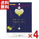 味覚糖 長野のキャンディ やまのしずく 79g×4袋セット(1000円ポッキリ ポイント消化)(np) (賞味期限2026.3月末) (メール便全国送料無料)