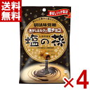 味覚糖 塩の花 焦がしミルクと塩チョコ 71g×4袋セット (ポイント消化) (np-3) (賞味期限2026.3月末) (メール便全国送料無料)