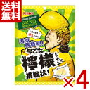 リボン 早乙女檸檬の挑戦状 60g×4袋 (レモン 飴 お菓子) (ポイント消化) (np) (賞味期限2026.6月末) (メール便全国送料無料)