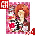 リボン 道明寺梅子の恋の挑戦状 60g×4袋 (梅 飴 お菓子) (ポイント消化) (np) (賞味期限2026.5月末) (メール便全国送料無料)