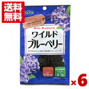 稲葉ピーナツ ワイルドブルーベリー 30g×6入 (ポイント消化) (np) (メール便全国送料無料)