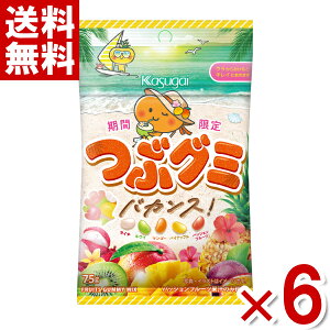 春日井製菓 つぶグミ バカンス 75g×6袋入 (つぶぐみ) (ポイント消化) (np)(賞味期限2025.7月末) (メール便全国送料無料)