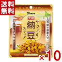 カンロ サクポリ納豆スナック 旨みしょうゆ味 21g×10入 (ポイント消化) (np) (賞味期限2026.2月末) (メール便全国送料無料)