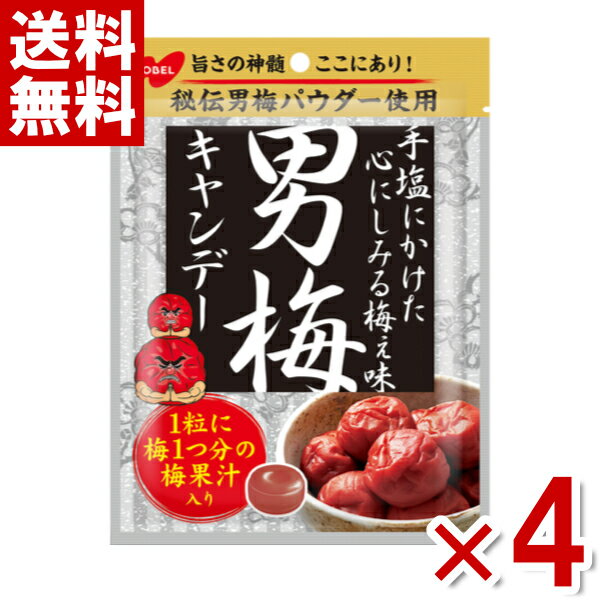 楽天ゆっくんのお菓子倉庫2号店ノーベル 男梅 キャンデー 80g×4袋 （熱中症対策 塩分補給 うめ）（ポイント消化） （np-3） （賞味期限2025.2月末） （メール便全国送料無料）