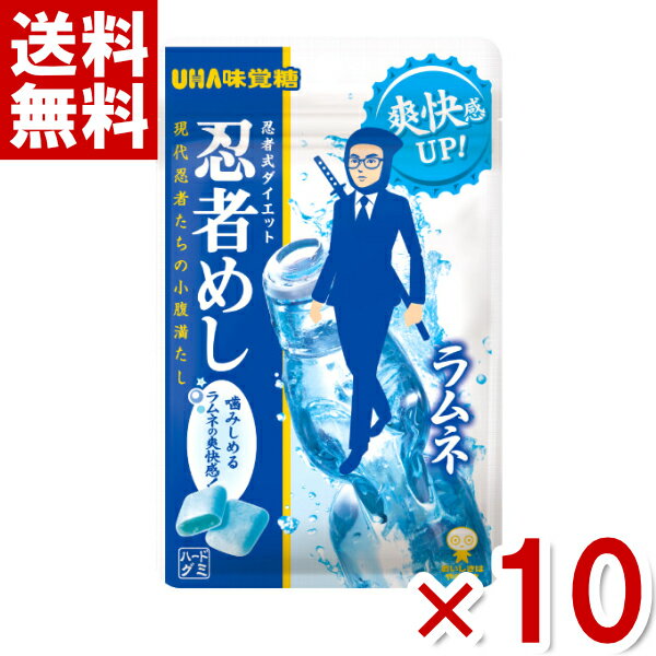 味覚糖 忍者めし ラムネ 20g 10入 あす楽対応 ポイント消化 np 賞味期限2025.1月末 メール便全国送料無料 