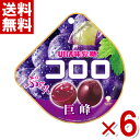 味覚糖 コロロ 巨峰 グレープ グミ 48g×6入 (ポイント消化) (np-2) (賞味期限2026.4月末) (メール便全国送料無料)
