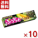 味覚糖 ぷっちょスティック ジューシー肥後グリーン 10粒×10入 (ポイント消化) (np)(賞味期限2024.12月末) (メール便全国送料無料)