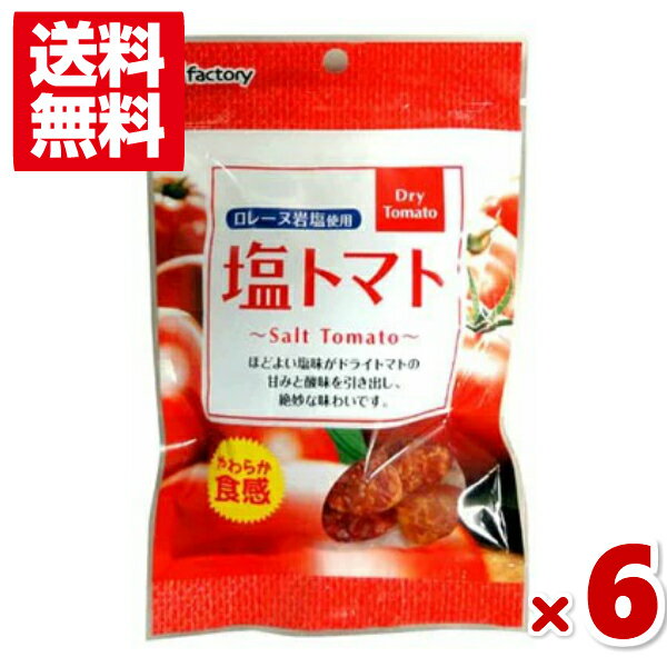 アイファクトリー 塩トマト 65g×6入 (ポイント消化) (np)(賞味期限2024.9.14) (メール便全国送料無料)