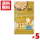 稲葉ピーナツ 塩で味わう カシューナッツ 90g×5袋セット (ポイント消化) (np)(賞味期限2024.6.12) (ロカボ 低糖質 糖質オフ) (メール便全国送料無料)