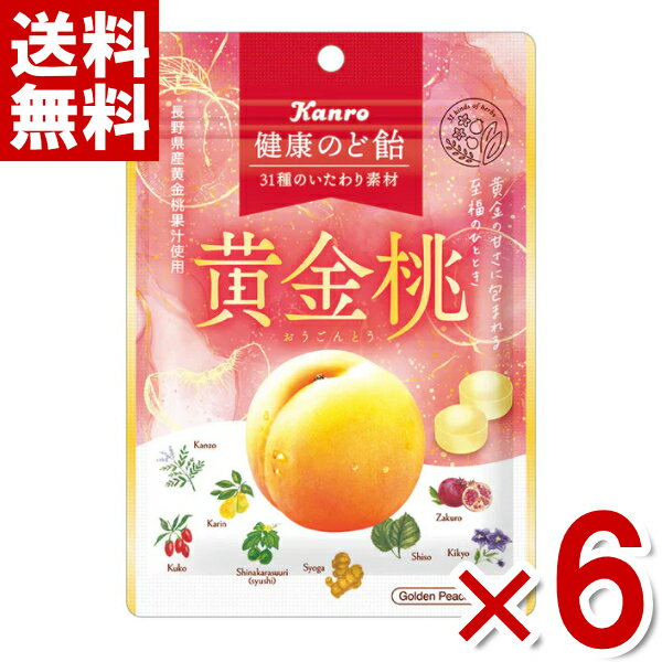 (賞味期限2026.1月末) カンロ 健康のど飴 黄金桃 80g×6袋...(4)
