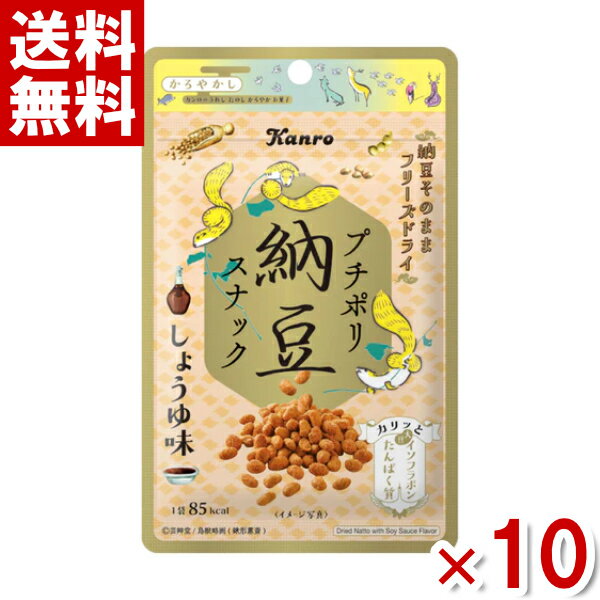 カンロ プチポリ 納豆スナック しょうゆ味 18g×10入 (ポイント消化)(np) (賞味期限2024.2月末) (メール便全国送料無料)のサムネイル