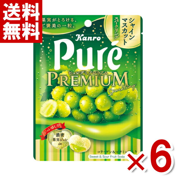 カンロ ピュレグミプレミアム シャインマスカットスパークリング 54g×6入 (ポイント消化) (np-2) (賞味期限2025.4月末) (メール便全国送料無料)のサムネイル