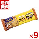 ブルボン プロテインバー BCAA+ キャラメルクッキー 9入 (ポイント消化) (np-2) (賞味期限2026.1月末) (ウィングラム) (メール便全国送...