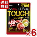(賞味期限2025.6月末) カバヤ タフグミ 梅マニア 100g×6...(4)