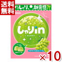 カバヤ しゃりinグミ マスカットソーダ 52g×10入 (新食感 グミ お菓子) (ポイント消化) (np) (賞味期限2025.10月末) (メール便全国送...