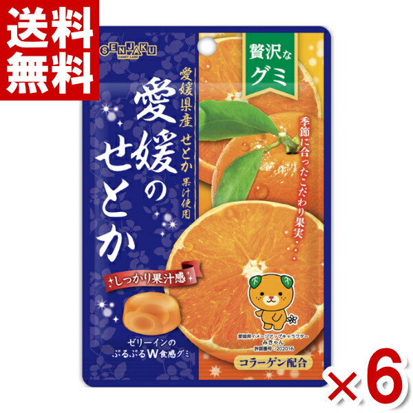 扇雀飴本舗 贅沢なグミ 愛媛のせとか 34g×6入 (ポイント消化) (np-2)(賞味期限2024.8月末) (メール便全国送料無料)のサムネイル