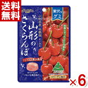 扇雀飴本舗 贅沢なグミ 山形のさくらんぼ 34g×6入 (ポイント消化)(np) (賞味期限2024.8月末) (メール便全国送料無料)