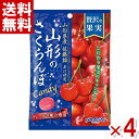 キャンディ 扇雀飴本舗 贅沢な果実 山形のさくらんぼCandy 52g×4袋 (ポイント消化) (np)(賞味期限2025.3月末) (メール便全国送料無料)