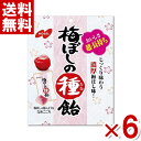 ノーベル 梅ぼしの種飴 30g×6袋 (梅干しの種飴) (ポイント消化) (CP) (賞味期限2026.3月末) (メール便全国送料無料)