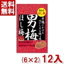 和歌山県産南高梅種抜き干し梅（はちみつ入梅）〔干し梅（3Lサイズ）×19、塩分約17％〕