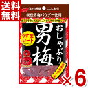 ノーベル おしゃぶり男梅シート 10g×6袋入 (ポイント消化) (np) (メール便全国送料無料)