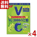 ノーベル VC-3000のど飴 マスカット 90g×4入 (ポイント消化) (np-3) (賞味期限2026.1月末) (メール便全国送料無料)