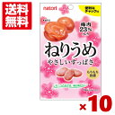 なとり ねりうめ やさしいすっぱさ 27g×10入 (CP) (賞味期限2025.9.11) (メール便全国送料無料)