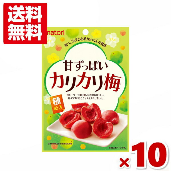 なとり 甘ずっぱい カリカリ梅 22g×10袋入 (ポイント消化) (np)(賞味期限2024.10.3) (メール便全国送料無料)