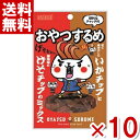 なとり 18g おやつするめ (5×2)10入 (いか げそ おつまみ)(ポイント消化) (np-3) (賞味期限2026.3月末) (メール便全国送料無料)