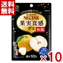 不二家 ネクター果実食感グミ 和梨 48g×10入 (ポイント消化) (np-3) (賞味期限2026.1月末) (メール便全国送料無料)